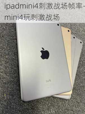 ipadmini4刺激战场帧率-mini4玩刺激战场