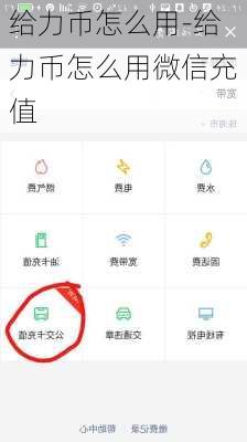 给力币怎么用-给力币怎么用微信充值