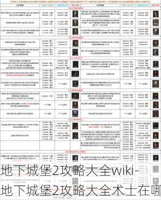 地下城堡2攻略大全wiki-地下城堡2攻略大全术士在哪