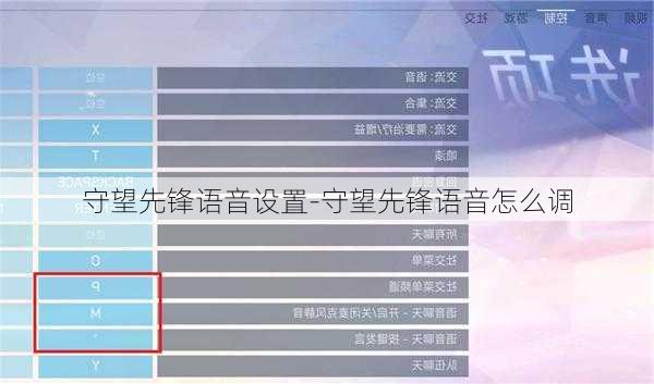 守望先锋语音设置-守望先锋语音怎么调