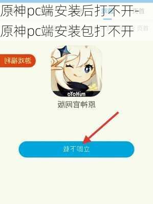 原神pc端安装后打不开-原神pc端安装包打不开