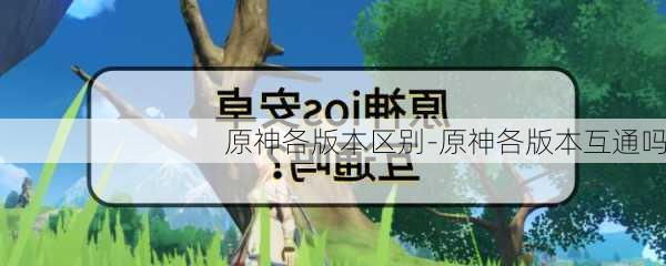 原神各版本区别-原神各版本互通吗