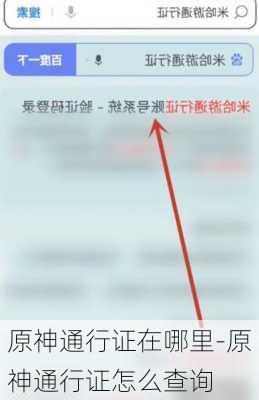 原神通行证在哪里-原神通行证怎么查询