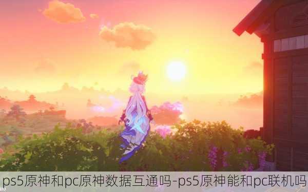 ps5原神和pc原神数据互通吗-ps5原神能和pc联机吗